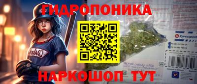 молекула духа Сланцы