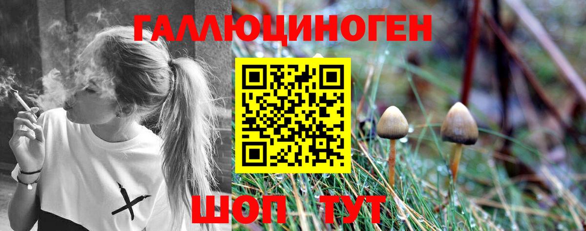 Псилоцибиновые грибы MAGIC MUSHROOMS  Вход с VPN  Галлюциногенные грибы мицелий  Саянск 